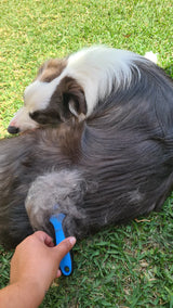 Pet Grooming Comb