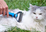 Pet Grooming Comb