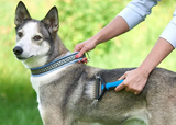 Pet Grooming Comb